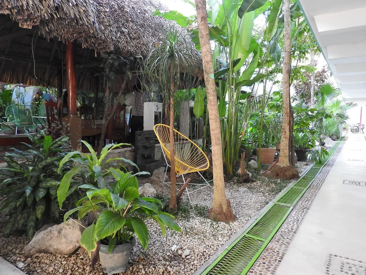 Hotel Marinelly Playa del Carmen