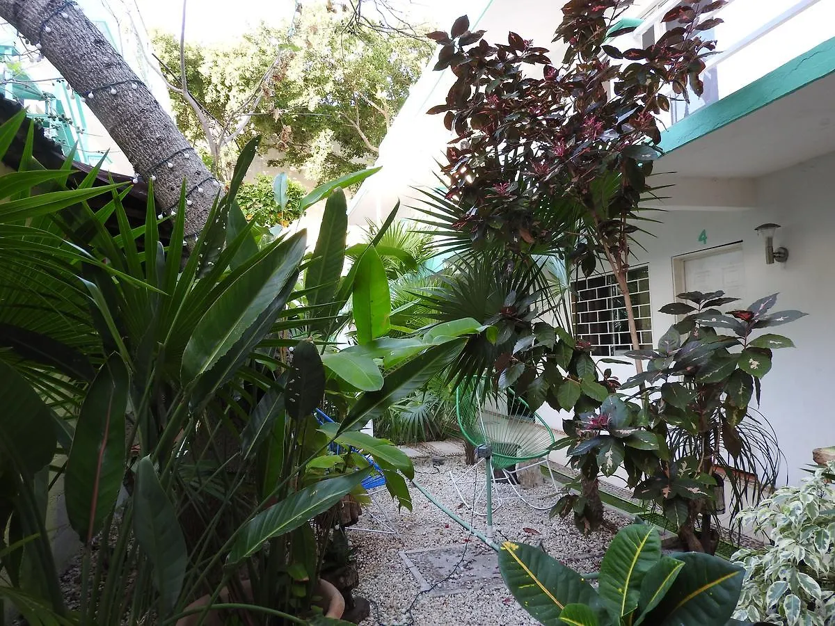 **  Hotel Marinelly Playa del Carmen México